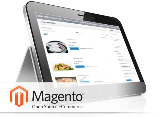 Magento Ecommerce Web Design